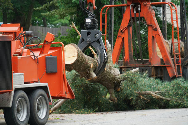 Best Lawn Grading and Leveling  in Woodburn, IN