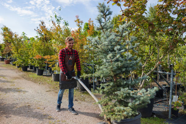 Woodburn, IN  Tree Services Company